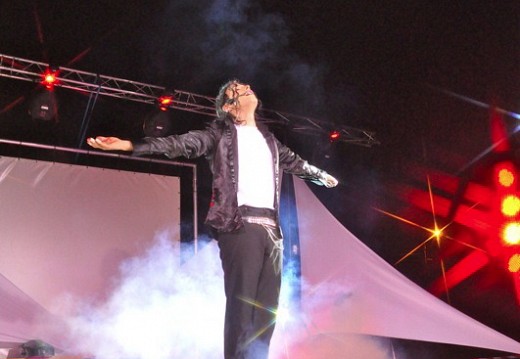 Festival Michael Jackson Juillet 2011 334