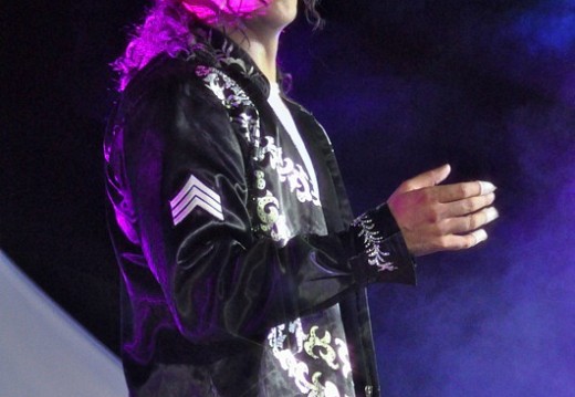 Festival Michael Jackson Juillet 2011 447
