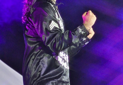 Festival Michael Jackson Juillet 2011 450