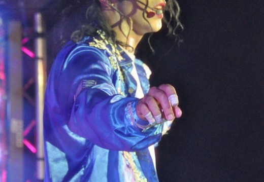 Festival Michael Jackson Juillet 2011 463