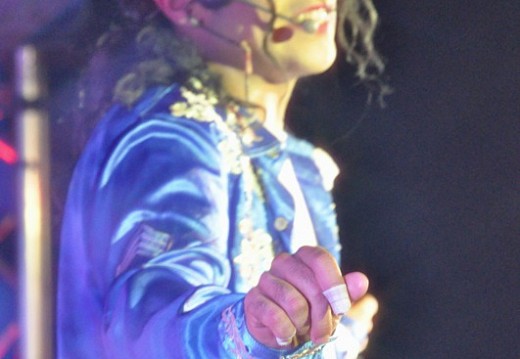 Festival Michael Jackson Juillet 2011 464