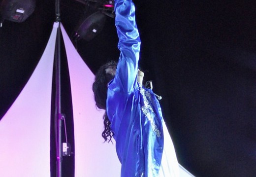 Festival Michael Jackson Juillet 2011 475
