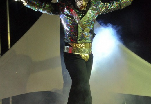Festival Michael Jackson Juillet 2011 269