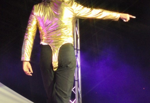 Festival Michael Jackson Juillet 2011 277