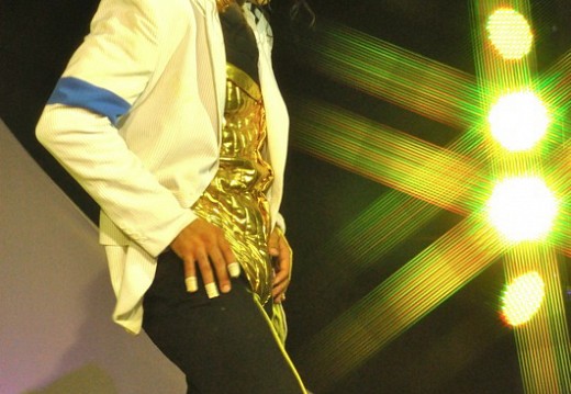 Festival Michael Jackson Juillet 2011 315