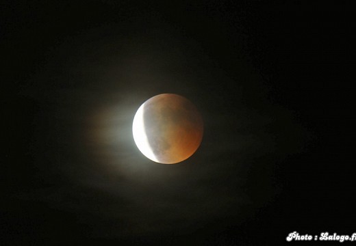 Eclipse de lune mai 2011 004 (4536 visits) Eclipse de lune mai 2011 004