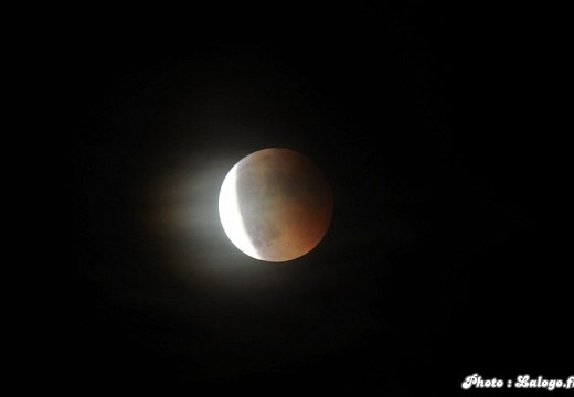 Eclipse de lune mai 2011 005 (4418 visits) Eclipse de lune mai 2011 005