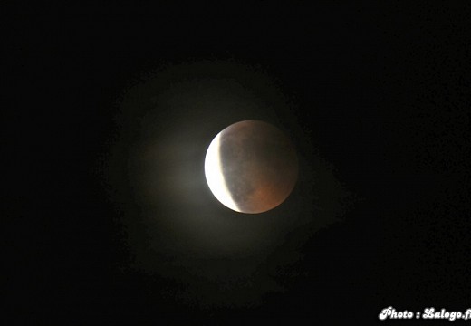 Eclipse de lune mai 2011 006 (4445 visits) Eclipse de lune mai 2011 006