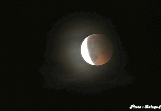 Eclipse de lune mai 2011 008 (4525 visits) Eclipse de lune mai 2011 008